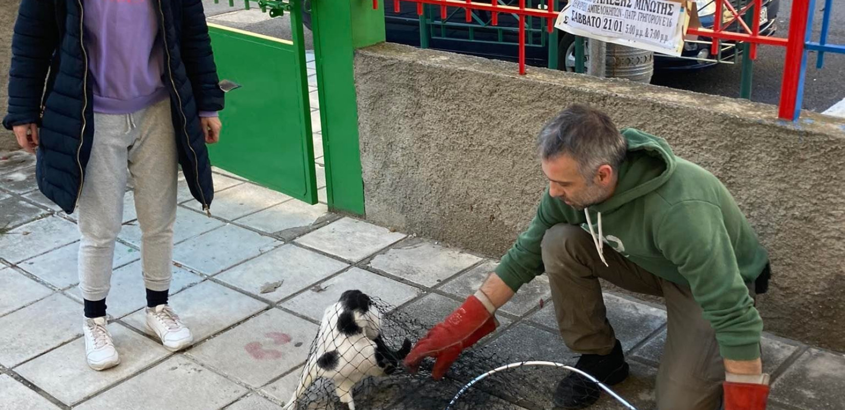 Θεσσαλονίκη: Γάτα εγκλωβίστηκε σε νηπιαγωγείο στον Εύοσμο (φωτ.)