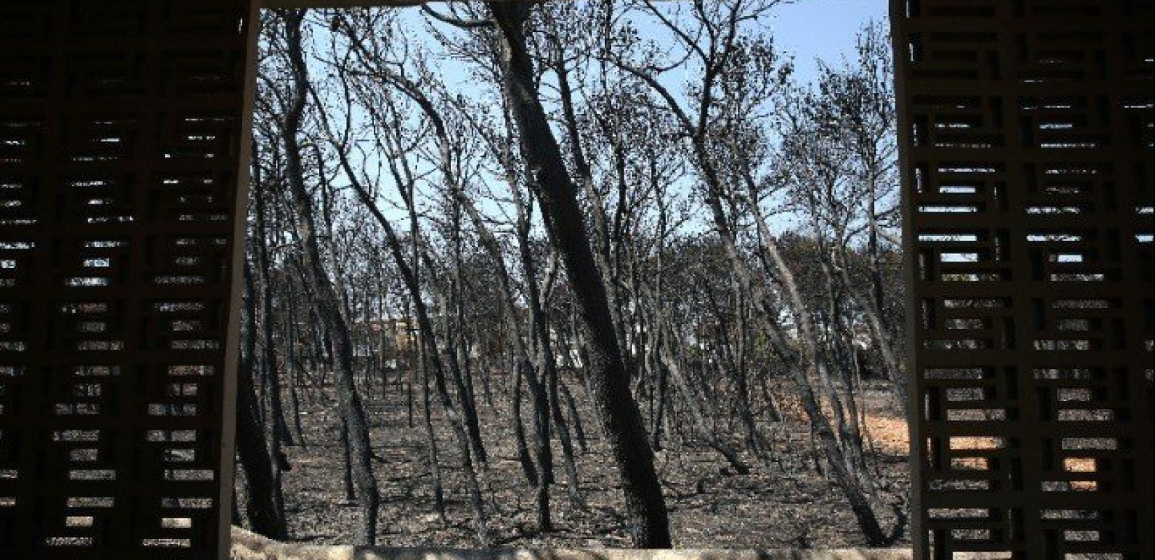 Δίκη για το Μάτι: «Υπήρχαν αναγγελίες για 37 νεκρούς όταν πήγε στο ΕΣΚΕ ο τότε πρωθυπουργός»