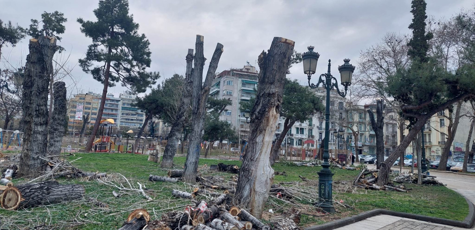 Γεωτεχνικοί: Πλημμύρες, ζέστη και ρύπανση φέρνει η μαζική κοπή των δέντρων