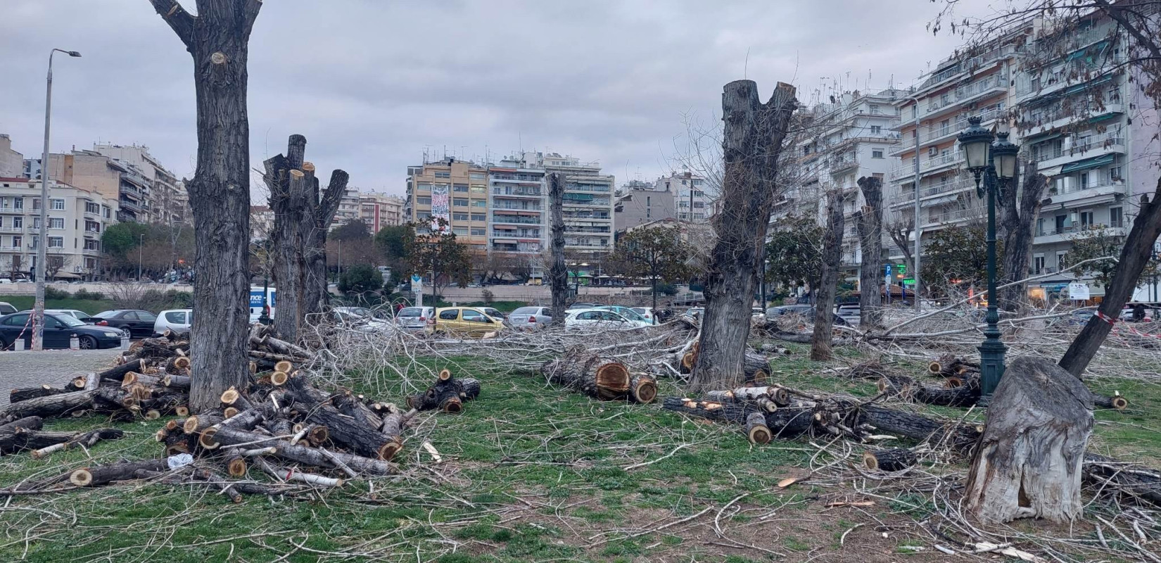 Θεσσαλονίκη: Επίθεση δήμου κατά Εφορείας Νεοτέρων Μνημείων για την κοπή των δέντρων