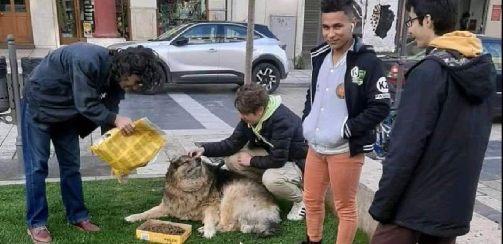 Μαθητές από τη Θεσσαλονίκη προσφέρουν λύσεις για τους κηδεμόνες κατοικιδίων (βίντεο, φωτ.)