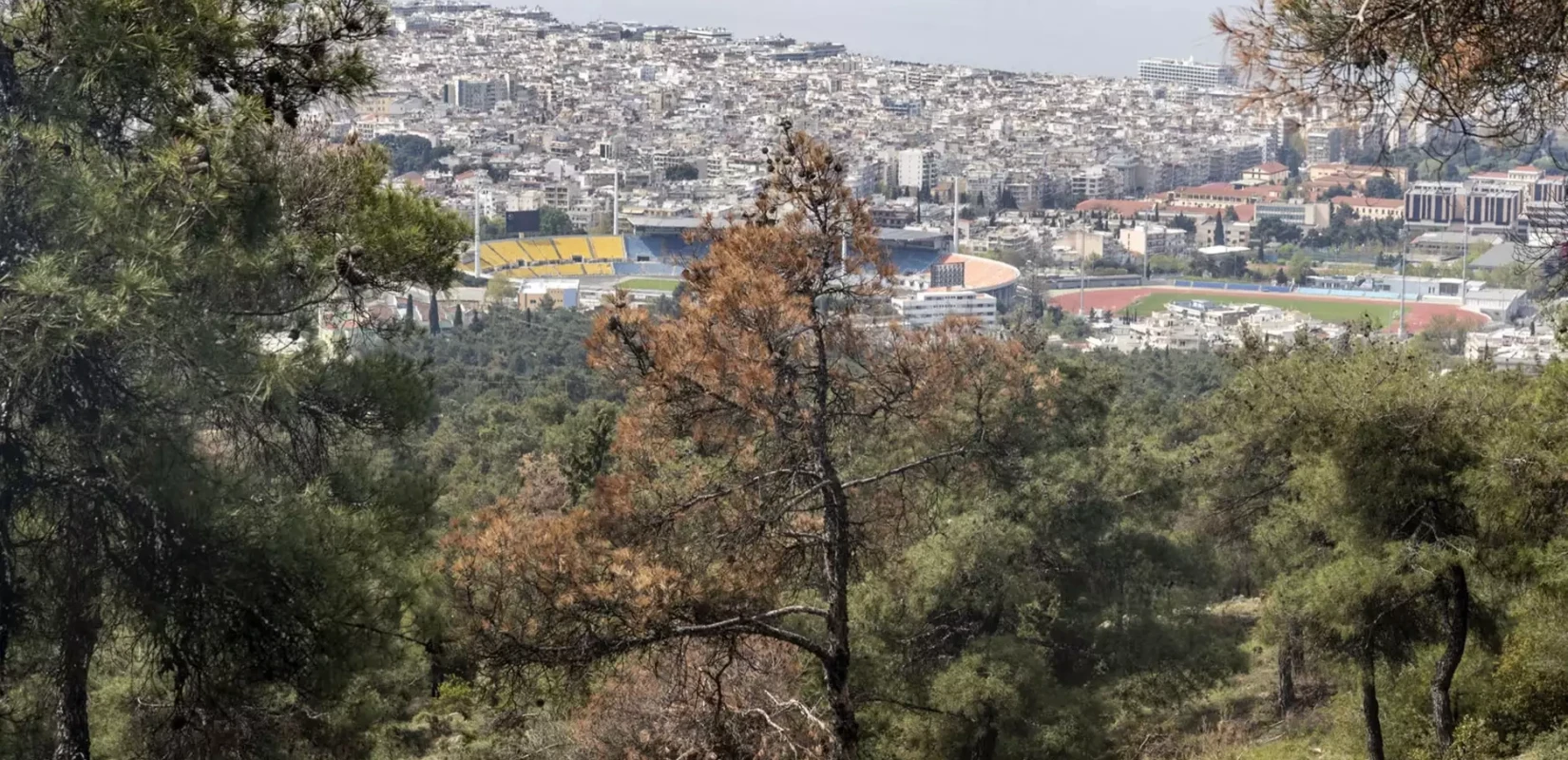 Σέιχ - Σου: Πρώτο καλοκαίρι με ραντάρ ανίχνευσης φωτιάς - Τέλη Μαΐου τοποθετείται το πρώτο από τα τρία συστήματα