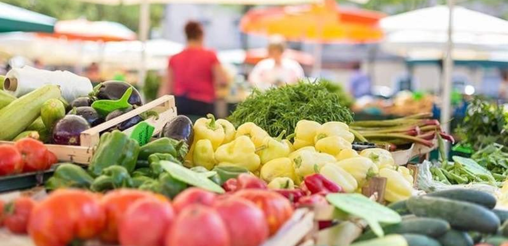 Επανεκλογή Λεχουρίτη στην Ομοσπονδία Καταναλωτών ΙΝΚΑ Γενική Ομοσπονδία Καταναλωτών Ελλάδος