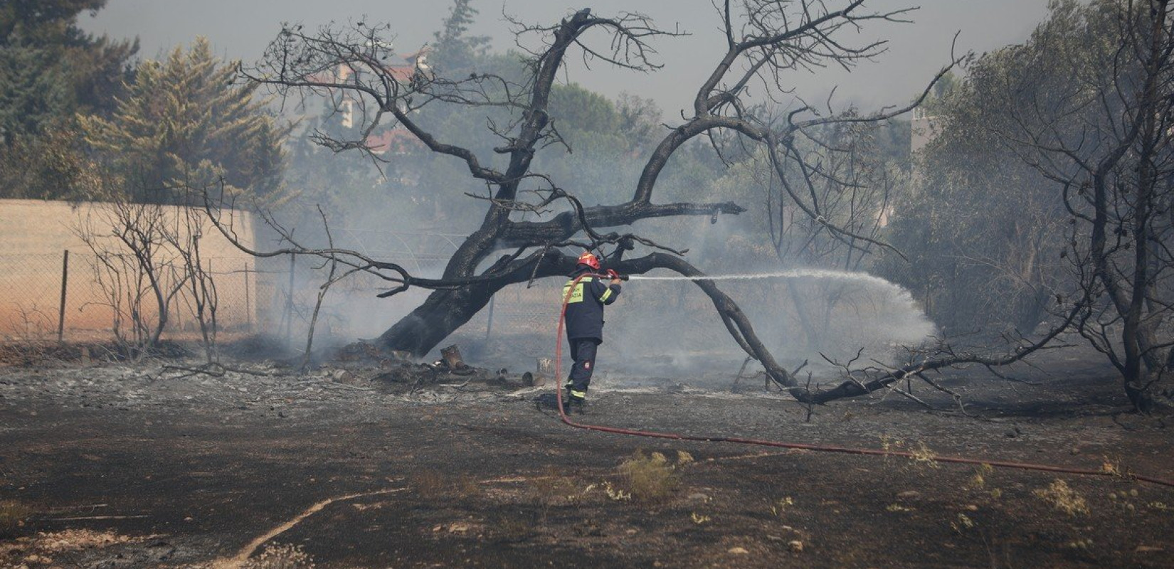 Κάηκε καταφύγιο ζώων στο Λαγονήσι - Λίγα επιβίωσαν