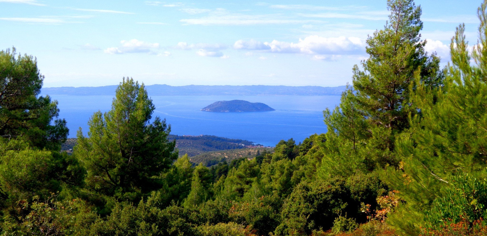 Συνεδρίασε εκτάκτως το συντονιστικό της Πολιτικής Προστασίας στη Χαλκιδική