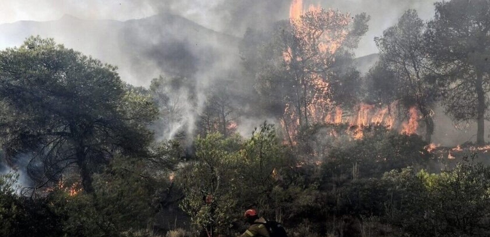 Επί ποδός Πολιτική Προστασία και Πυροσβεστική για την επέλαση του καύσωνα «Κλέων» - Συναγερμός για το Σέιχ Σου 