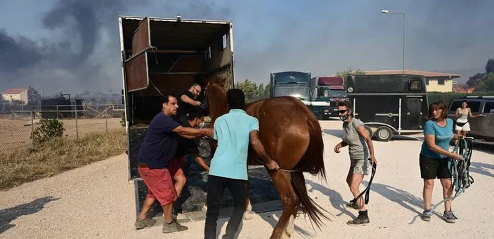 Μάχη με τις φλόγες στις αυλές των σπιτιών δίνουν οι πυροσβέστες στα Καλύβια - Απομακρύνθηκαν άλογα από τον Ιππικό Όμιλο (βίντεο)