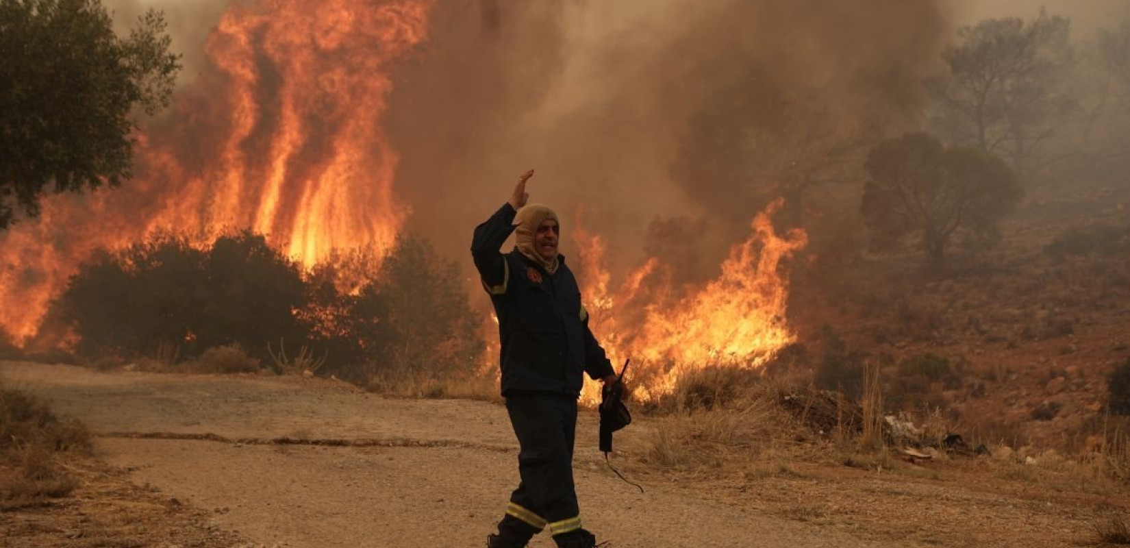 Αυτό είναι το σχέδιο για την ολοκληρωμένη διαχείριση των δασών της Ελλάδας