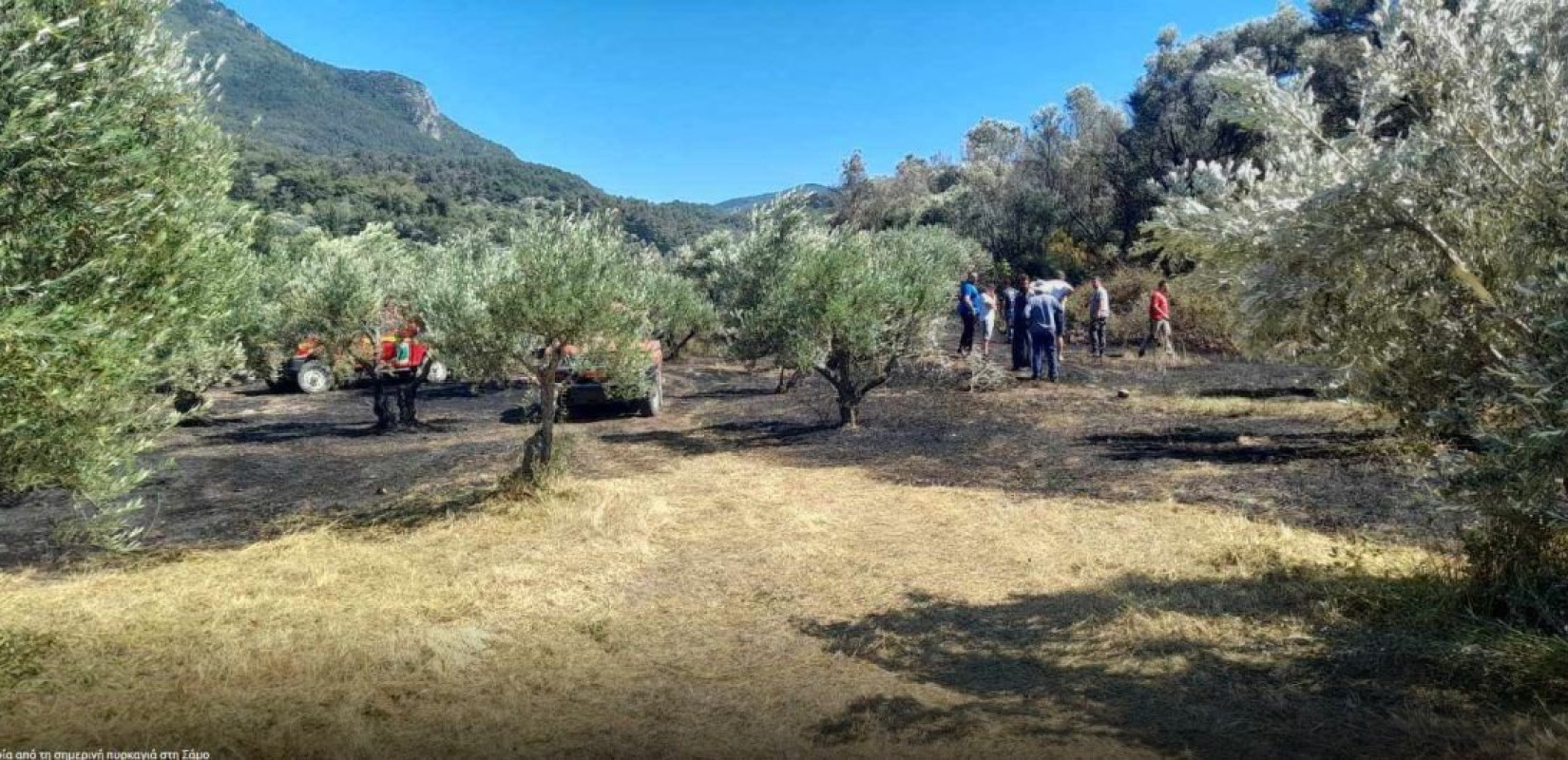 Ξέσπασε φωτιά σε δασική έκταση στη Σάμο (φωτ.)