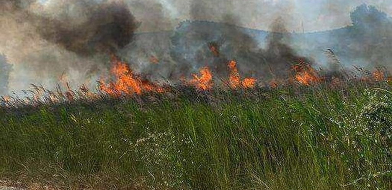 Υπό μερικό έλεγχο η πυρκαγιά στην παραλία Βατοπεδίου στη Χαλκιδική