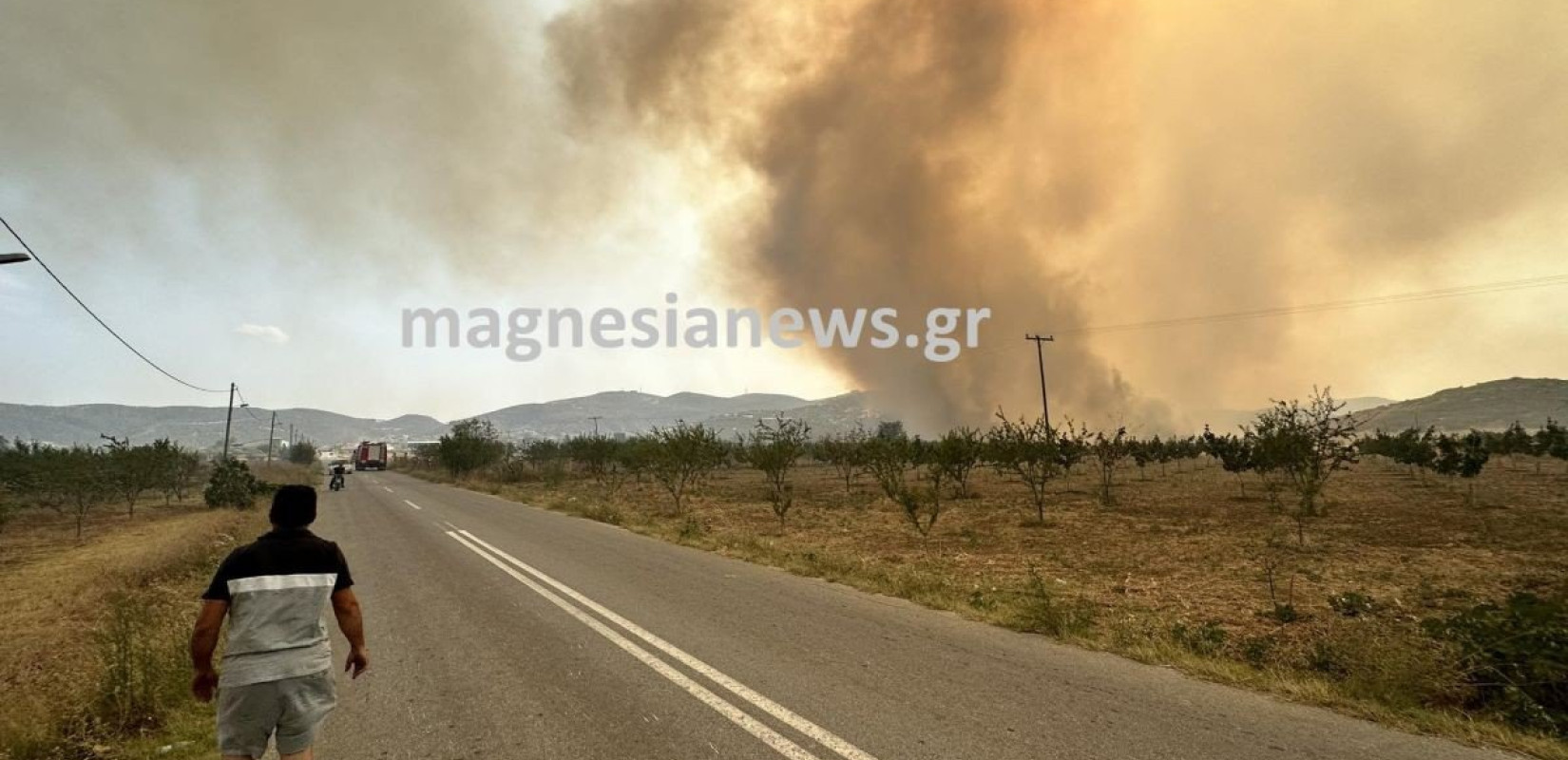 Αγνοείται κτηνοτρόφος στο Πήλιο - Έσπευσε να σώσει τα ζώα του μόλις είδε τη φωτιά