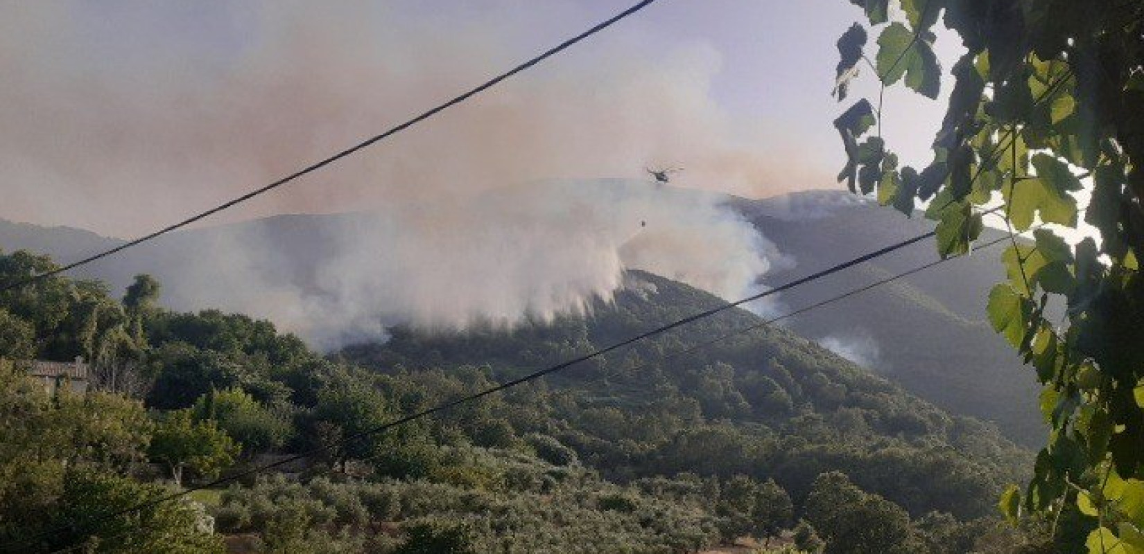 Μεγάλη αναζωπύρωση στην Κάρυστο, διαρκής μάχη με τις φλόγες σε Ρόδο και Κέρκυρα