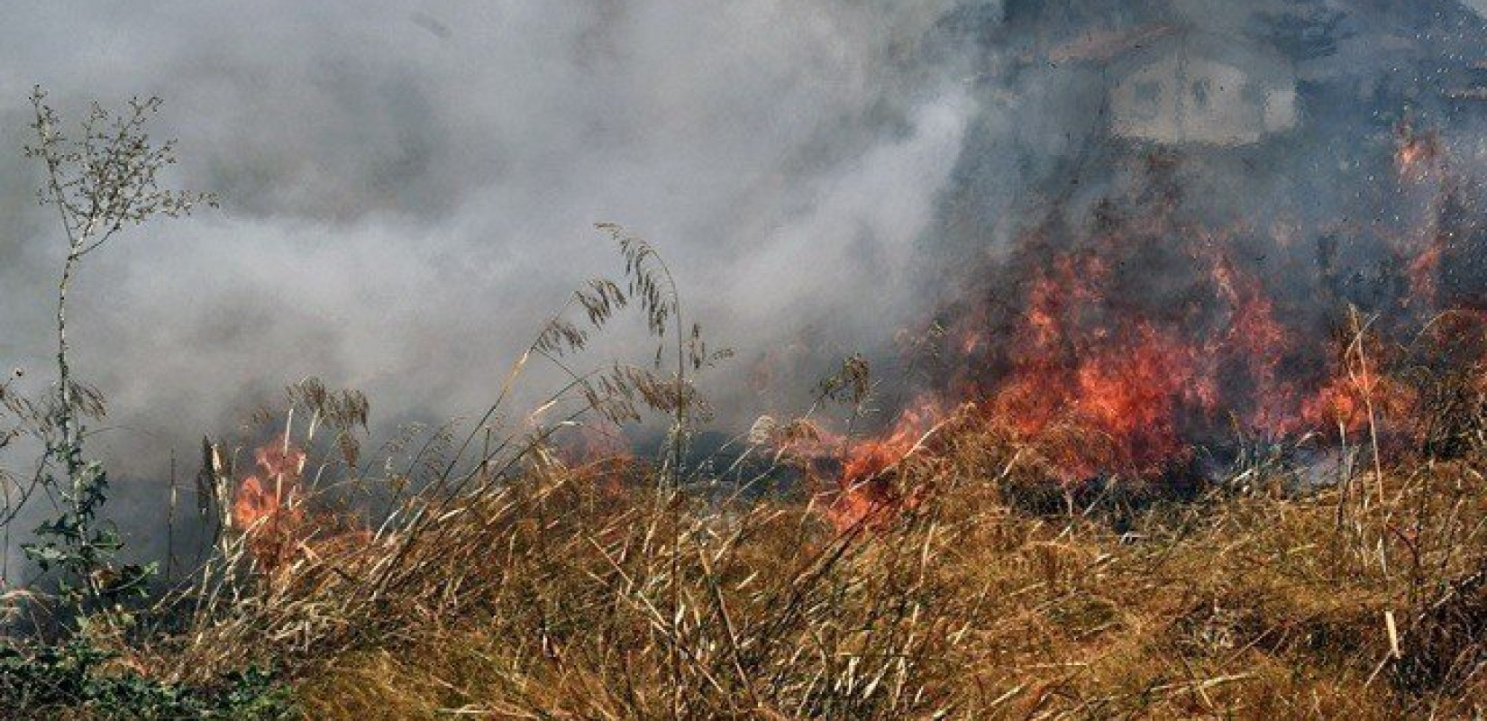 Θεσσαλονίκη: Υπό μερικό έλεγχο η φωτιά στο Φίλυρο (βίντεο)