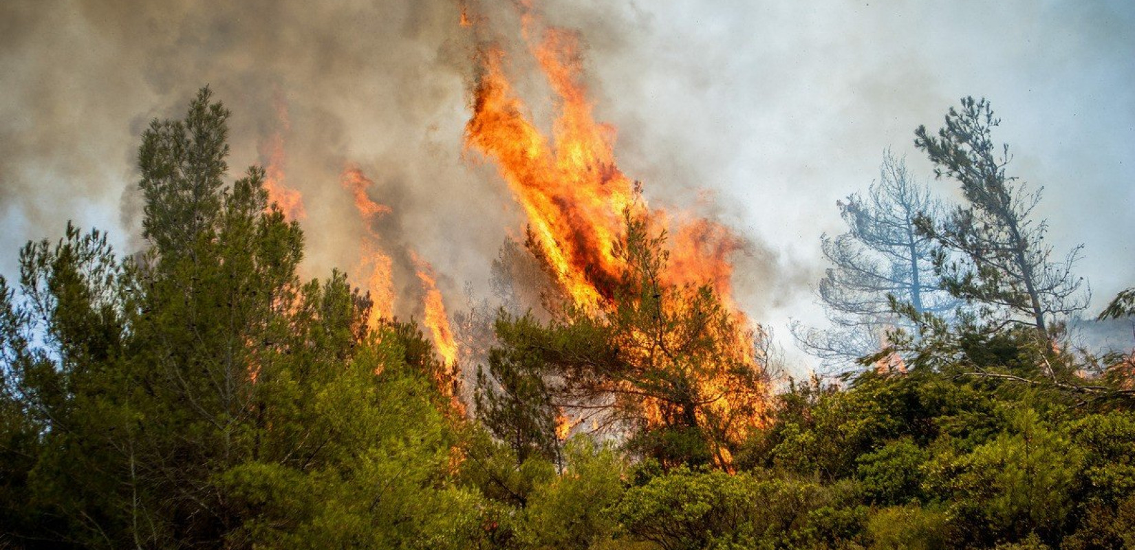 Αχαΐα: Πυρκαγιά σε δασική έκταση στη Λυκουρία Καλαβρύτων