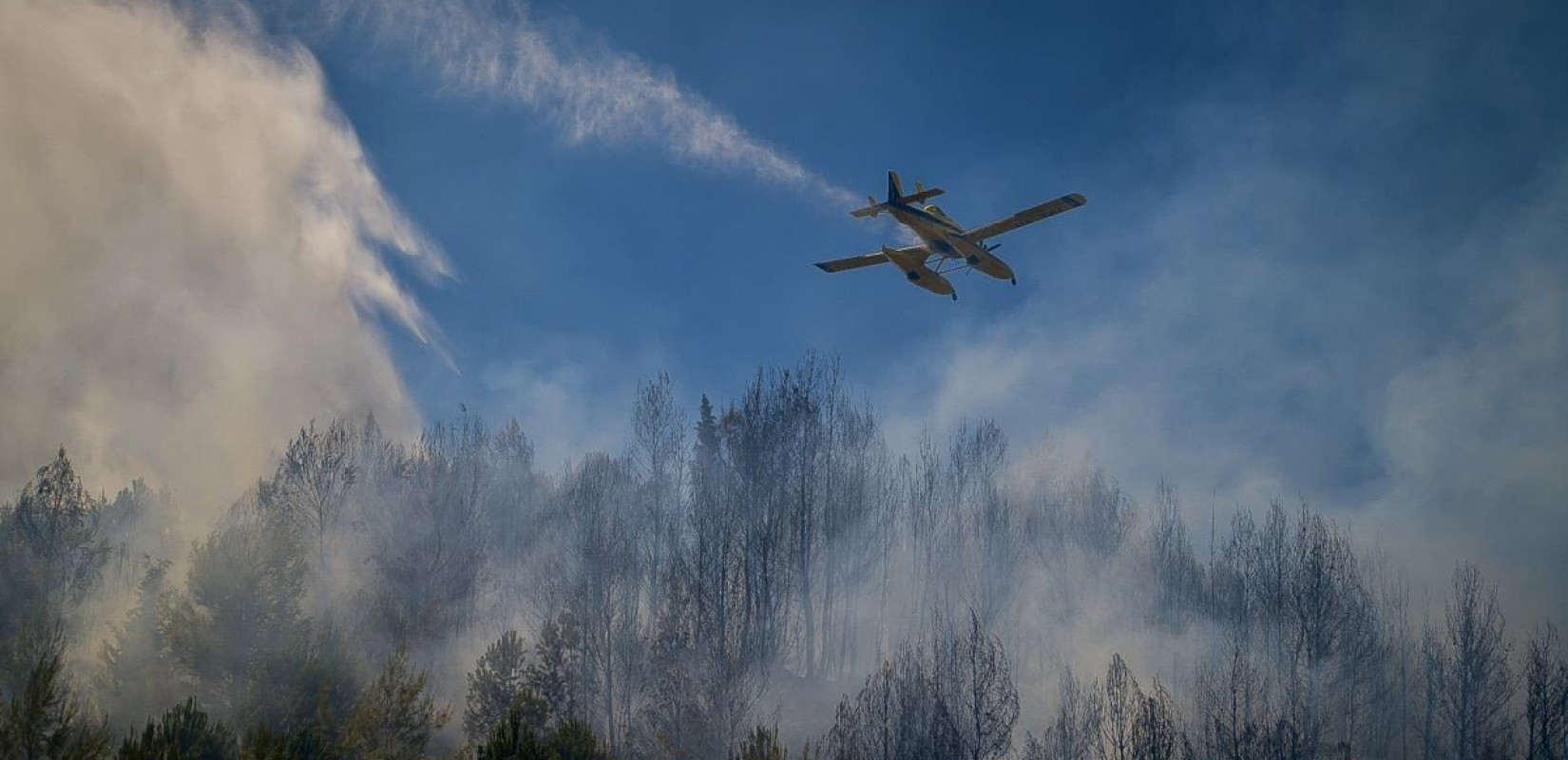 Ηλεία: Βελτιωμένη εικόνα στα μέτωπα των πυρκαγιών