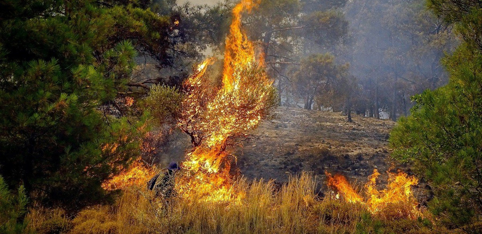 Στη Ρόδο η Όλγα Κεφαλογιάννη