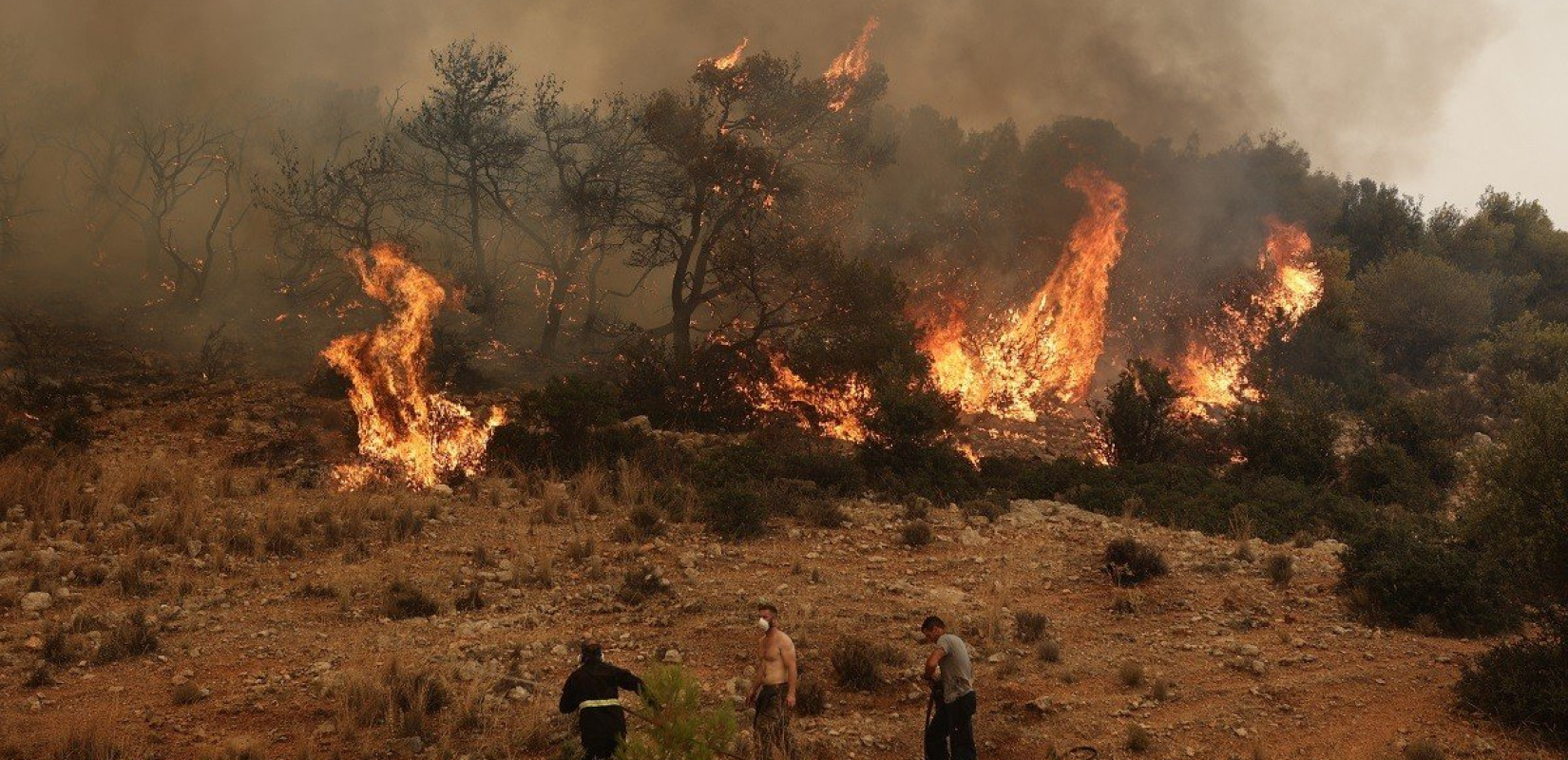 Μάχη με τις αναζωπυρώσεις στον Έβρο - Ισχυροί άνεμοι στην περιοχή (βίντεο)