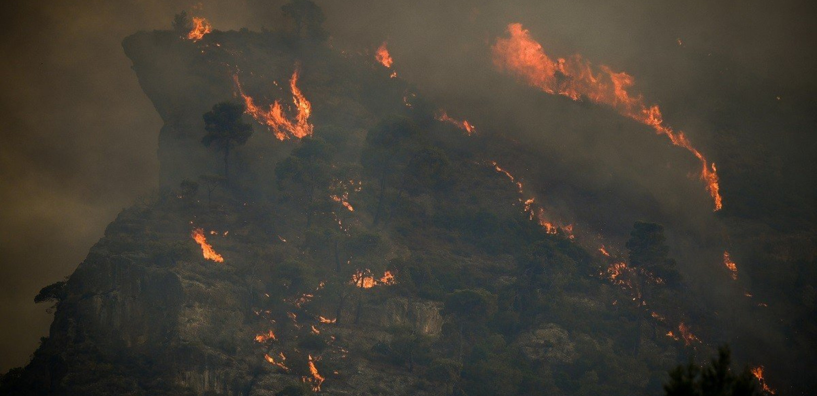 Τραγική η κατάσταση στο Αίγιο: Στα 10 μέτρα από την Εθνική Οδό η φωτιά - Δείτε βίντεο