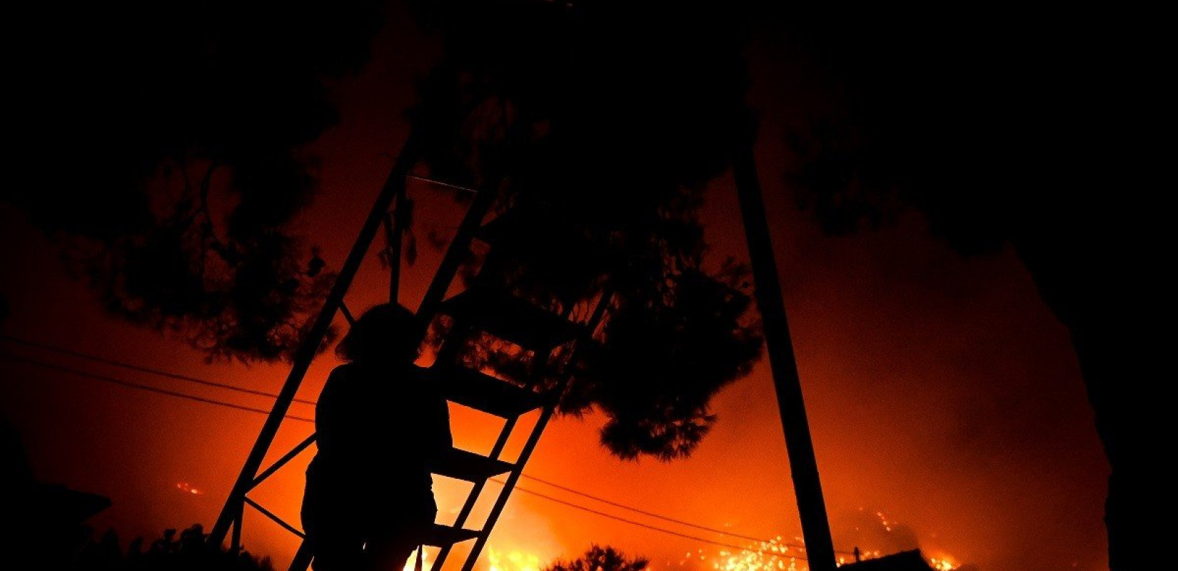 Φέτος μέχρι τον Ιούλιο μόνον κάηκαν κατά 30% περισσότερες εκτάσεις από τον ετήσιο μέσο όρο