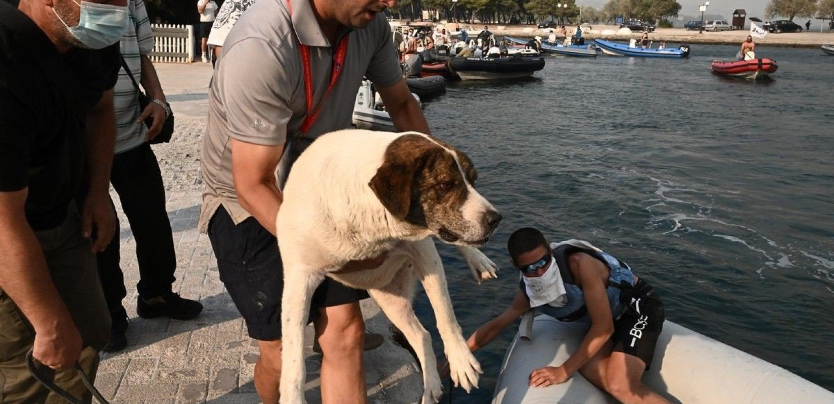 Βόλος: Αναβλήθηκε το παγκόσμιο πρωτάθλημα ιστιοπλοΐας - Αθλητές απ' όλο τον κόσμο σώζουν ανθρώπους με τα σκάφη τους