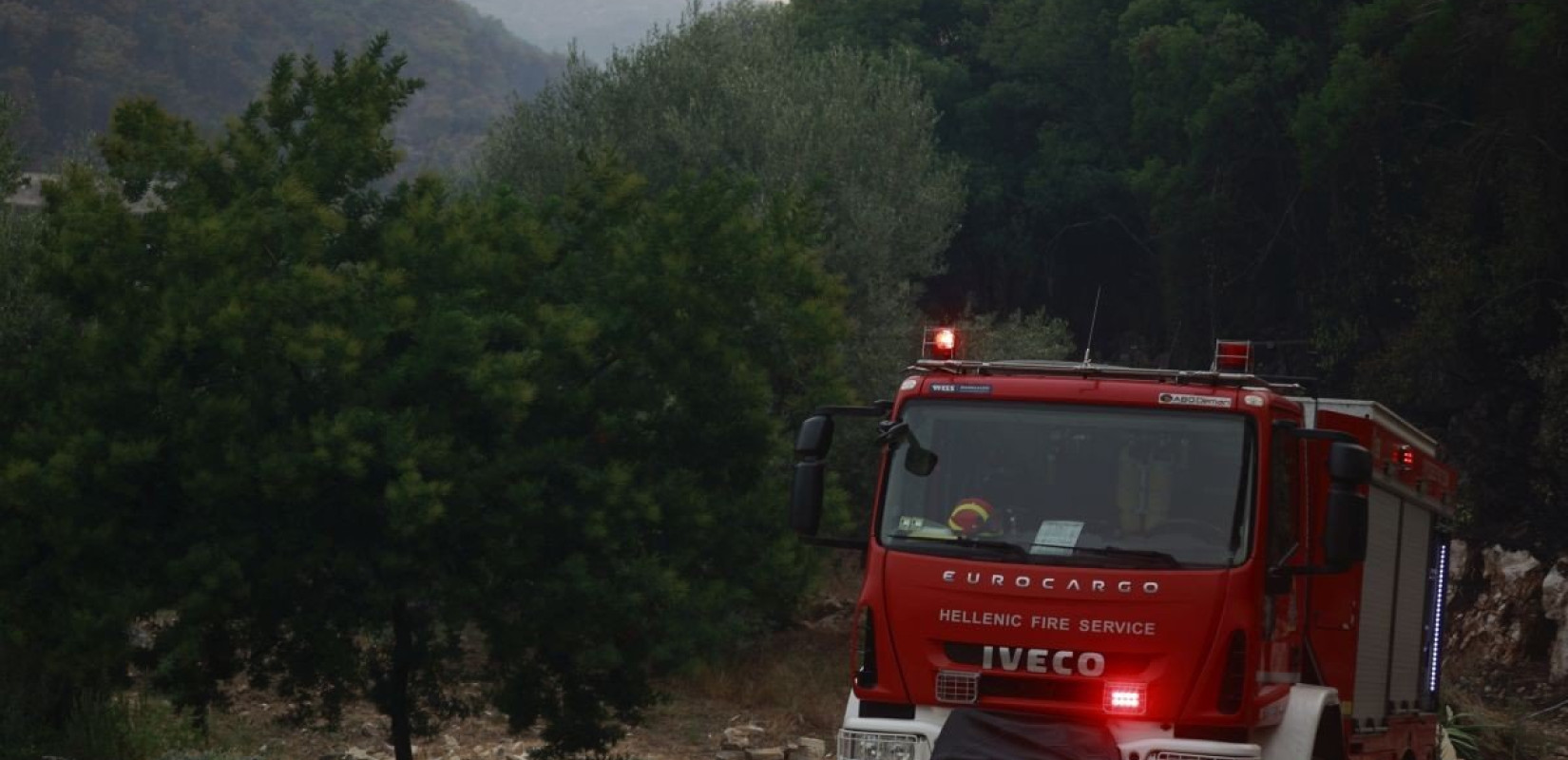 Νέα φωτιά στην Κύμη Ευβοίας κοντά στην είσοδο της πόλης