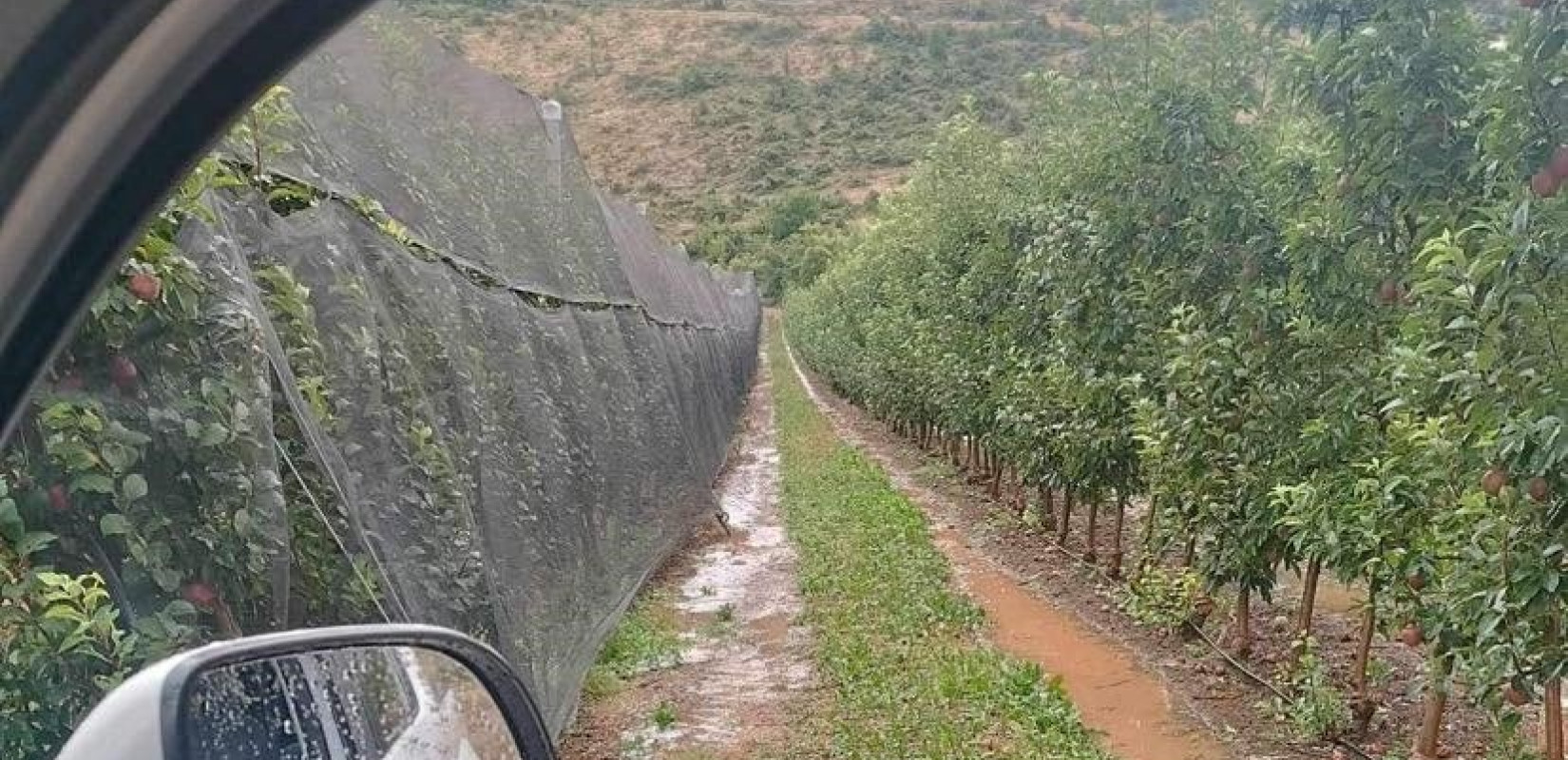 Πτολεμαΐδα: Ζημιές στις καλλιέργειες από το χαλάζι στο Μεσόβουνο