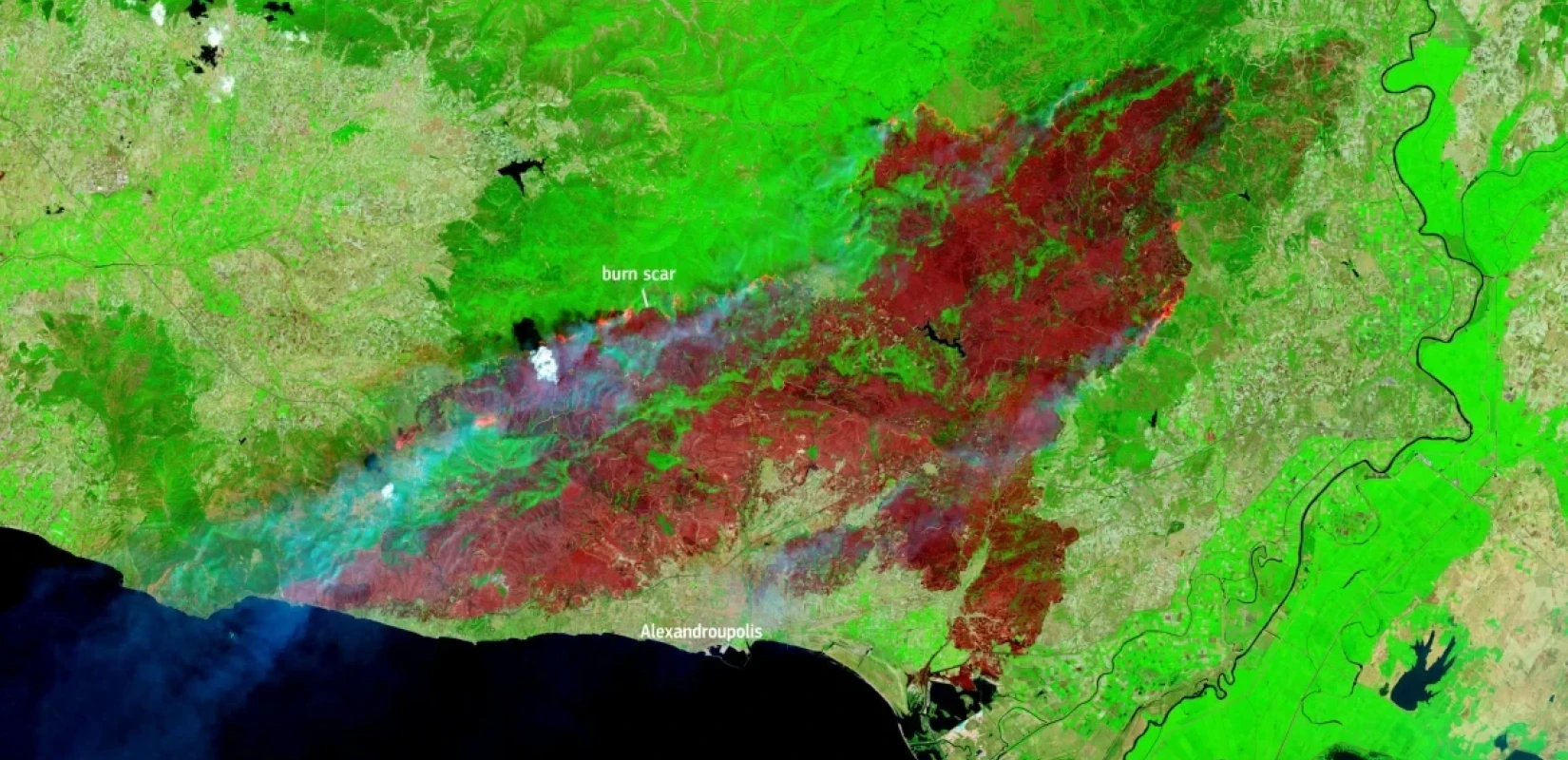 Copernicus: «Στην Αλεξανδρούπολη η μεγαλύτερη καμένη έκταση σε ευρωπαϊκό έδαφος εδώ και χρόνια» - Δείτε εικόνες