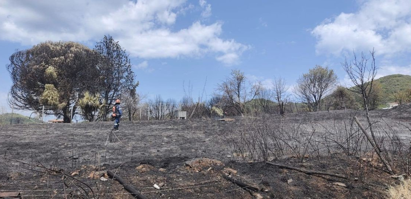 Χαλκιδική: Υπό μερικό έλεγχο πυρκαγιά στο Δεβελίκι Ιερισσού - Δεν απειλήθηκαν κατοικημένες περιοχές (φωτ.)