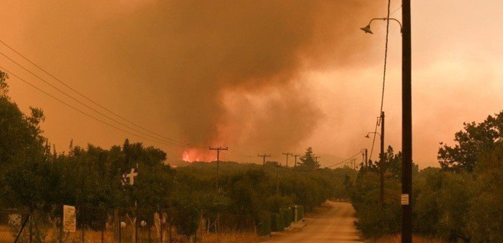 Από σήμερα οι αιτήσεις οικονομικής ενίσχυσης των πυρόπληκτων του δήμου Αλεξανδρούπολης