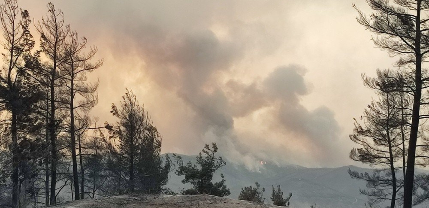 Αδιάκοπη μάχη με τις αναζωπυρώσεις σε Έβρο και Ροδόπη -  Ενισχύθηκαν οι πυροσβεστικές δυνάμεις (βίντεο)