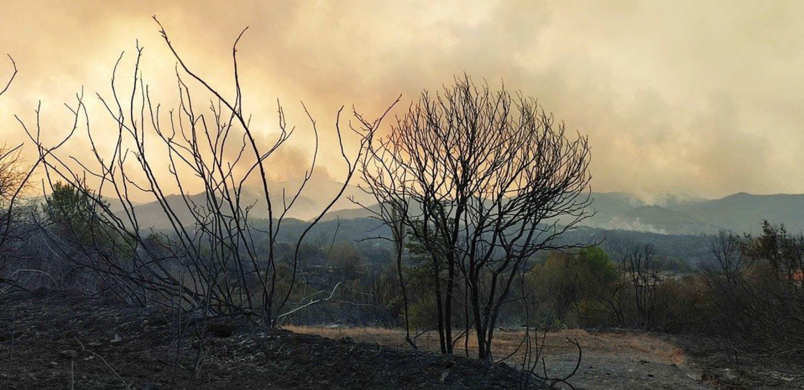 Κυβερνητικό κλιμάκιο θα επισκεφθεί τις καμένες περιοχές του Έβρου