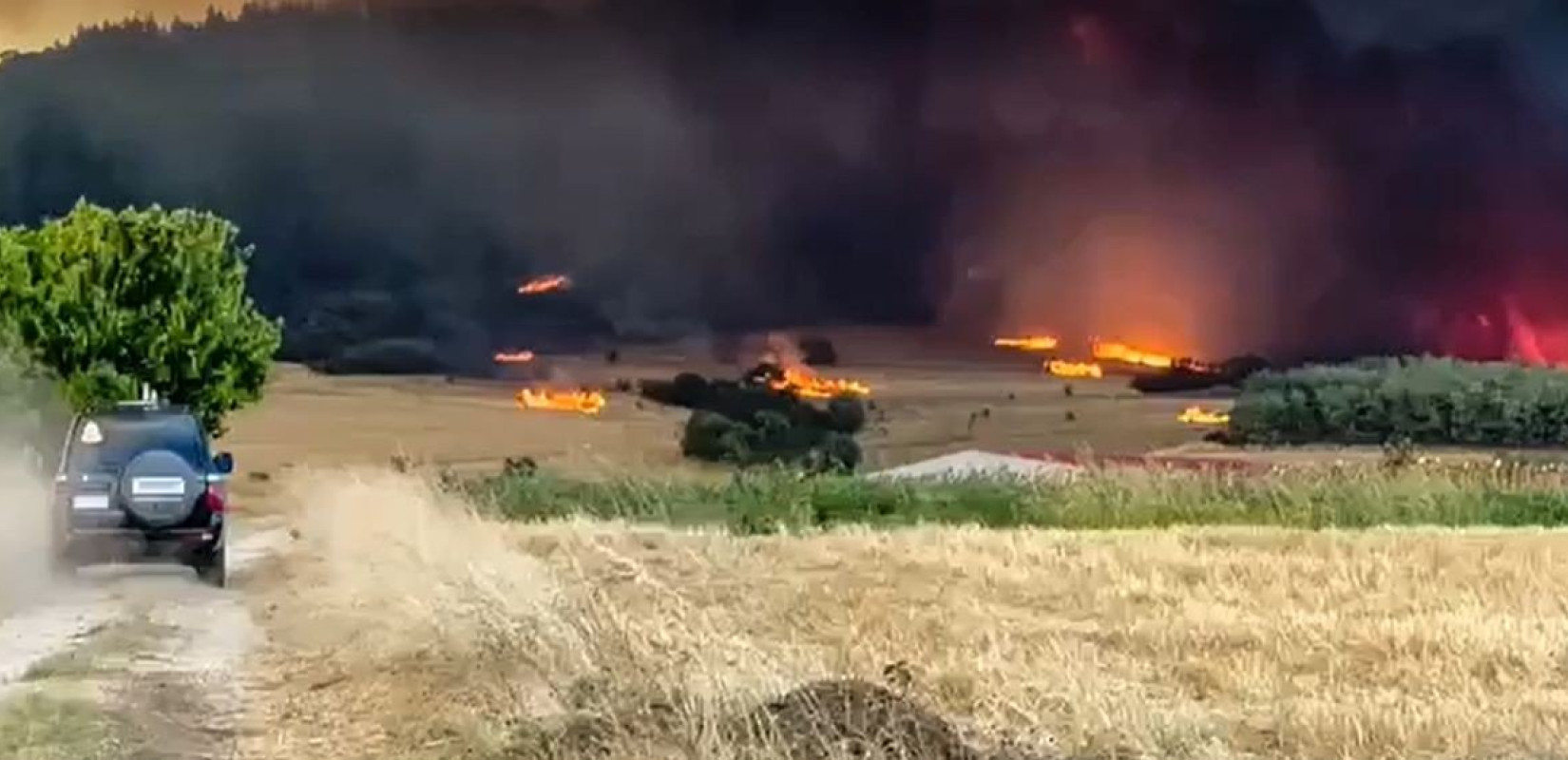 Πολύ υψηλός κίνδυνος πυρκαγιάς κατηγορίας 4 στον Έβρο