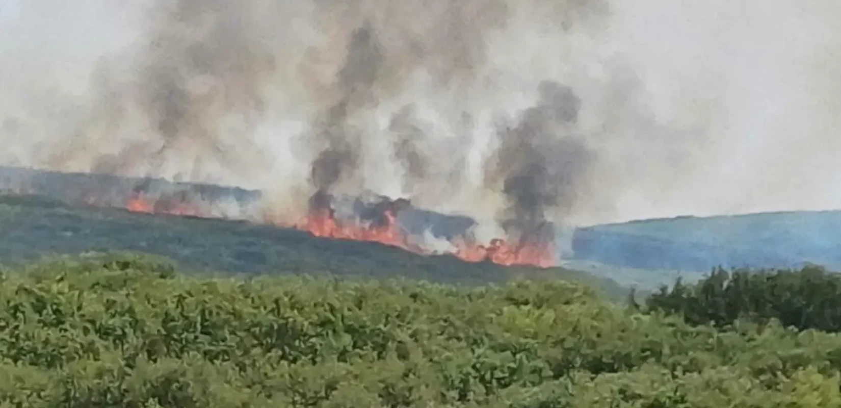 Βελτιωμένη η εικόνα της πυρκαγιάς στη Σταμάτα - Προσαγωγή ενός ύποπτου για εμπρησμό