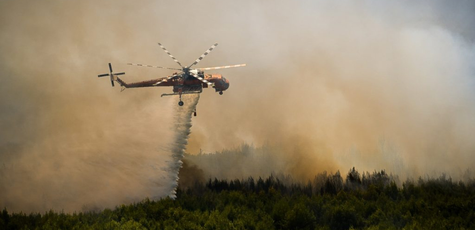 Αλεξανδρούπολη: Ανεξέλεγκτες διαστάσεις έχει πάρει το πύρινο μέτωπο - Στο δάσος της Δαδιάς οι φλόγες - «Χιονίζει» στάχτη στην πόλη! (βίντεο, φωτ.)