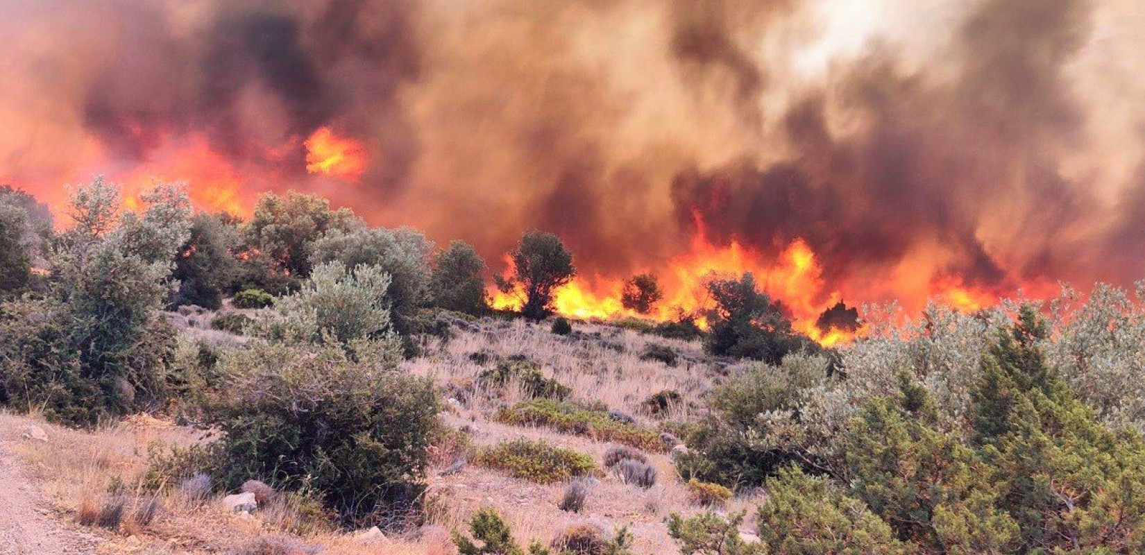 Πυρκαγιές: 60 άτομα απομακρύνθηκαν από το Σαράντη στην Βοιωτία - Σε ετοιμότητα το Λιμενικό για την Εύβοια 