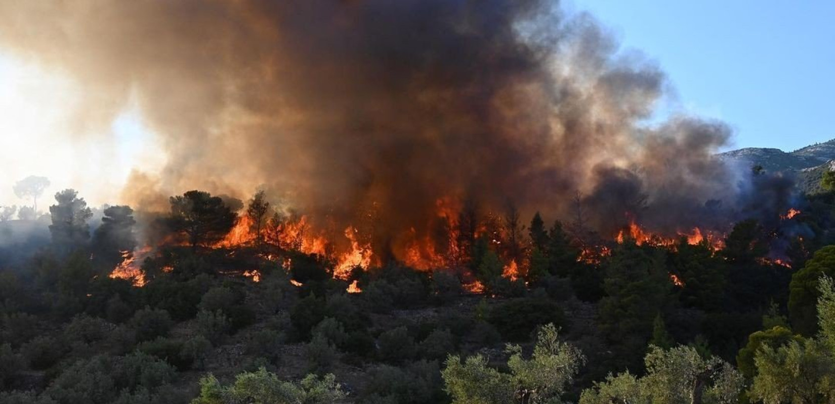 Φωτιά στη Χίο: Με εγκαύματα στο νοσοκομείο 5 πυροσβέστες και 1 πολίτης