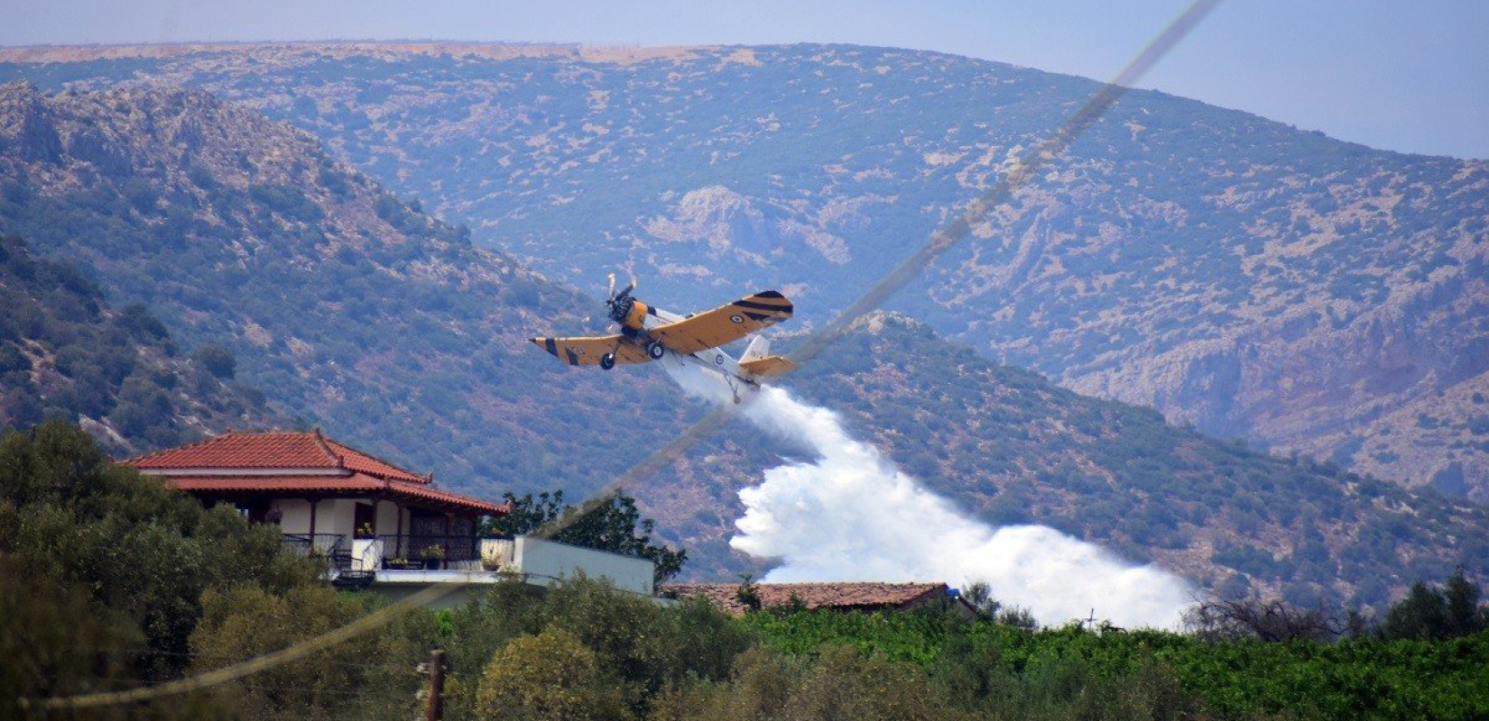 Πυρκαγιά σε δασική έκταση στην Πλάτσα Μεσσηνίας	