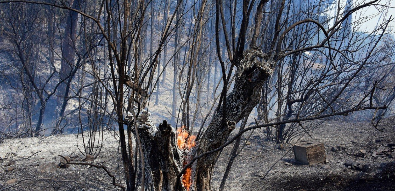 «Νόμιζα ότι ήρθε το τέλος - Έβλεπα παντού κόκκινο» συγκλονίζει οδηγός υδροφόρας στην Άνδρο (βίντεο)