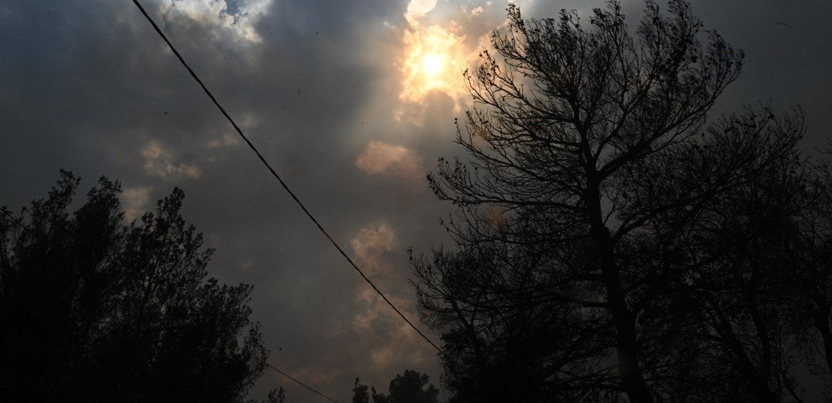 Κυβερνητική σύσκεψη για την αποκατάσταση των δασών σε Έβρο και Πάρνηθα