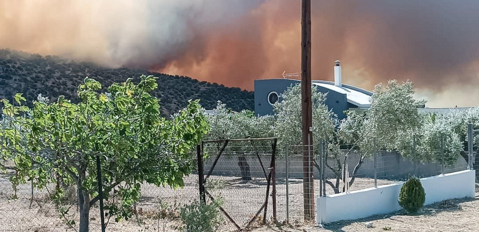 Ανεξέλεγκτη η φωτιά στη Βοιωτία - Εκκενώνονται εννέα οικισμοί 