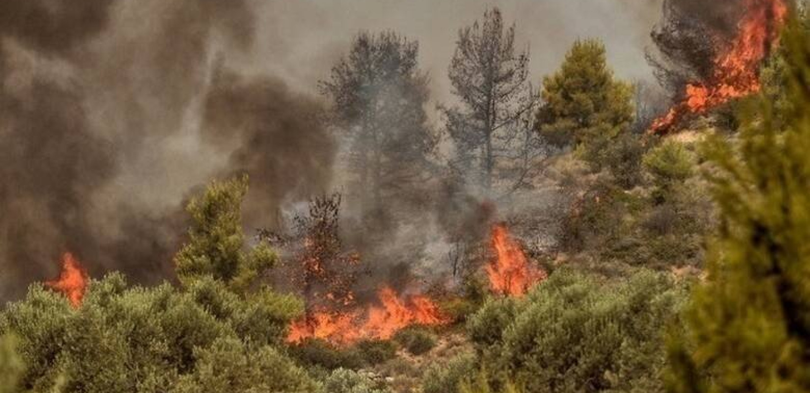 Χανιά: Φωτιά σε αγροτοδασική έκταση - Ενεργοποιήθηκε το 112