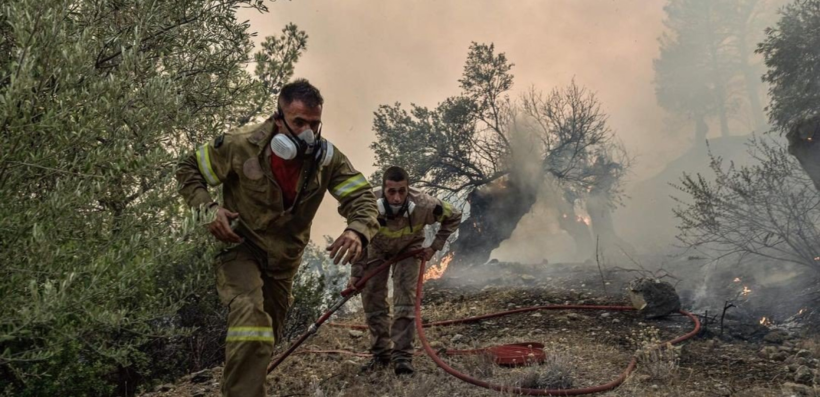 Πυροσβεστική: 51 αγροτοδασικές πυρκαγιές το τελευταίο 24ωρο σε όλη τη χώρα