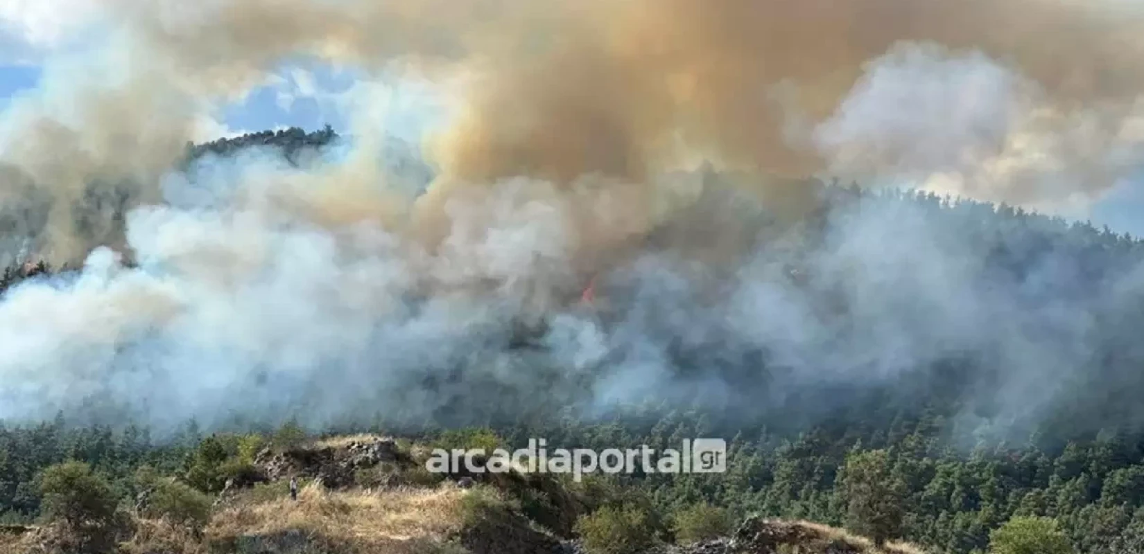 Τρίπολη: Καίγεται το δάσος πάνω από την πόλη – Ενίσχυση πυροσβεστικών δυνάμεων