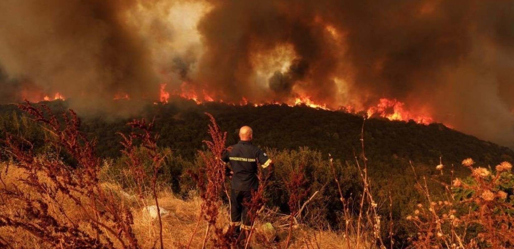 Από σήμερα οι αιτήσεις για την ενίσχυση των επιχειρήσεων που επλήγησαν από πλημμύρες και φωτιές το 2023