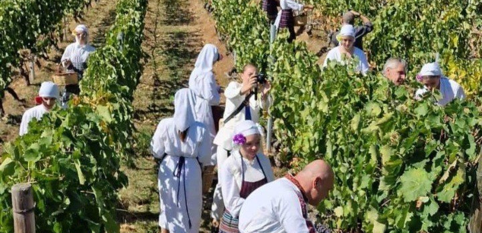 Νάουσα: Ξεκίνησε το Φεστιβάλ Τρύγου