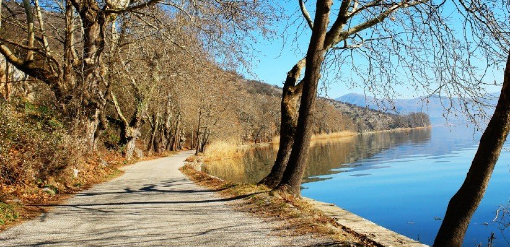 Καστοριά: Νεκρό σπάνιο θαλασσοπούλι στη λίμνη - Πιάστηκε στα δίχτυα των ψαράδων