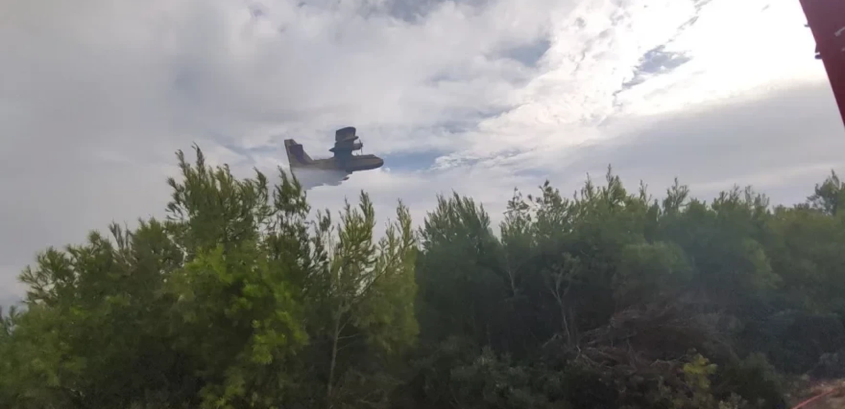 Φωτιά στην Προσύμνη Αργολίδας, καίει κοντά σε οικισμό - Σηκώθηκαν και εναέρια μέσα