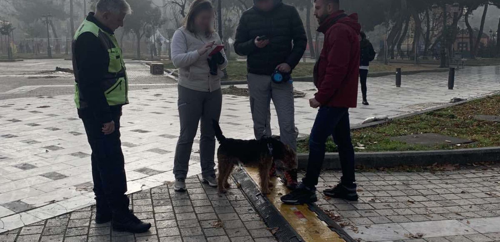 Θεσσαλονίκη: «Σαφάρι» της αστυνομίας και πρόστιμα σε ιδιοκτήτες κατοικίδιων