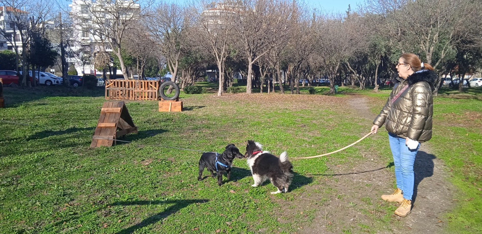 Θεσσαλονίκη: Στην Καλαμαριά το πρώτο πάρκο σκύλων με ανακυκλώσιμα υλικά 