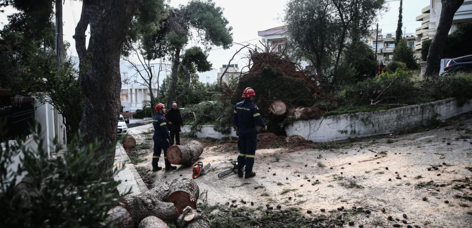 Πτώσεις δέντρων στην Αττική από τους θυελλώδεις ανέμους